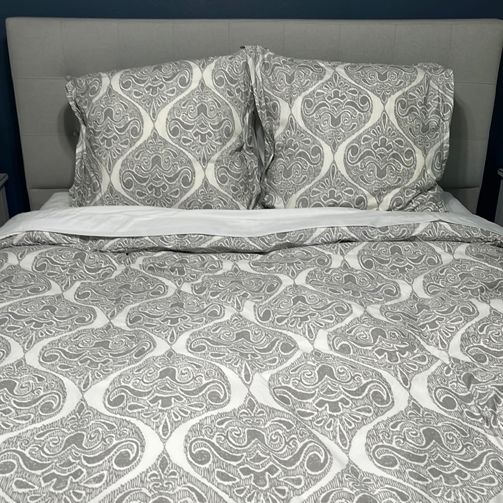 Pottery Barn Duvet Cover & 2 Euro Shams  - Like New!